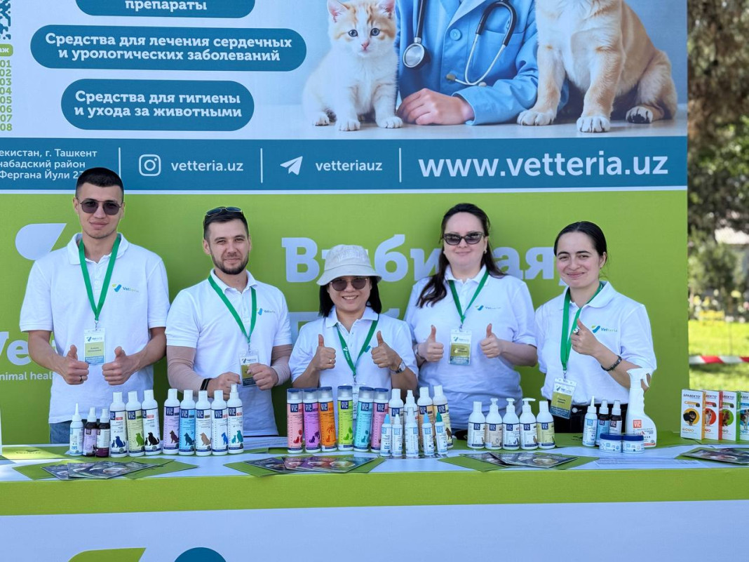 Vetteria на Dog Festival 2025 — как это было